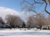 Saginaw Ice Storm - April 2003