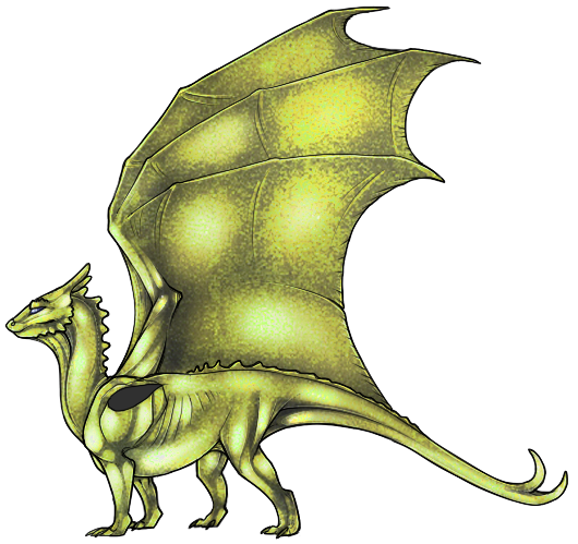 bronzedragon2