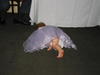 Brian Wedding 104.jpg